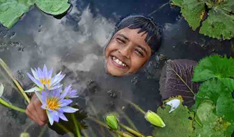 ऑनलाइन फोटो प्रतियोगिता के परिणाम घोषित