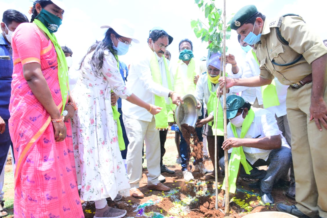 इस के हिस्से के रूप में, लंबे समय तक विधायक चल्ला धर्मरेड्डी ने बगीचे में पौधे लगाए