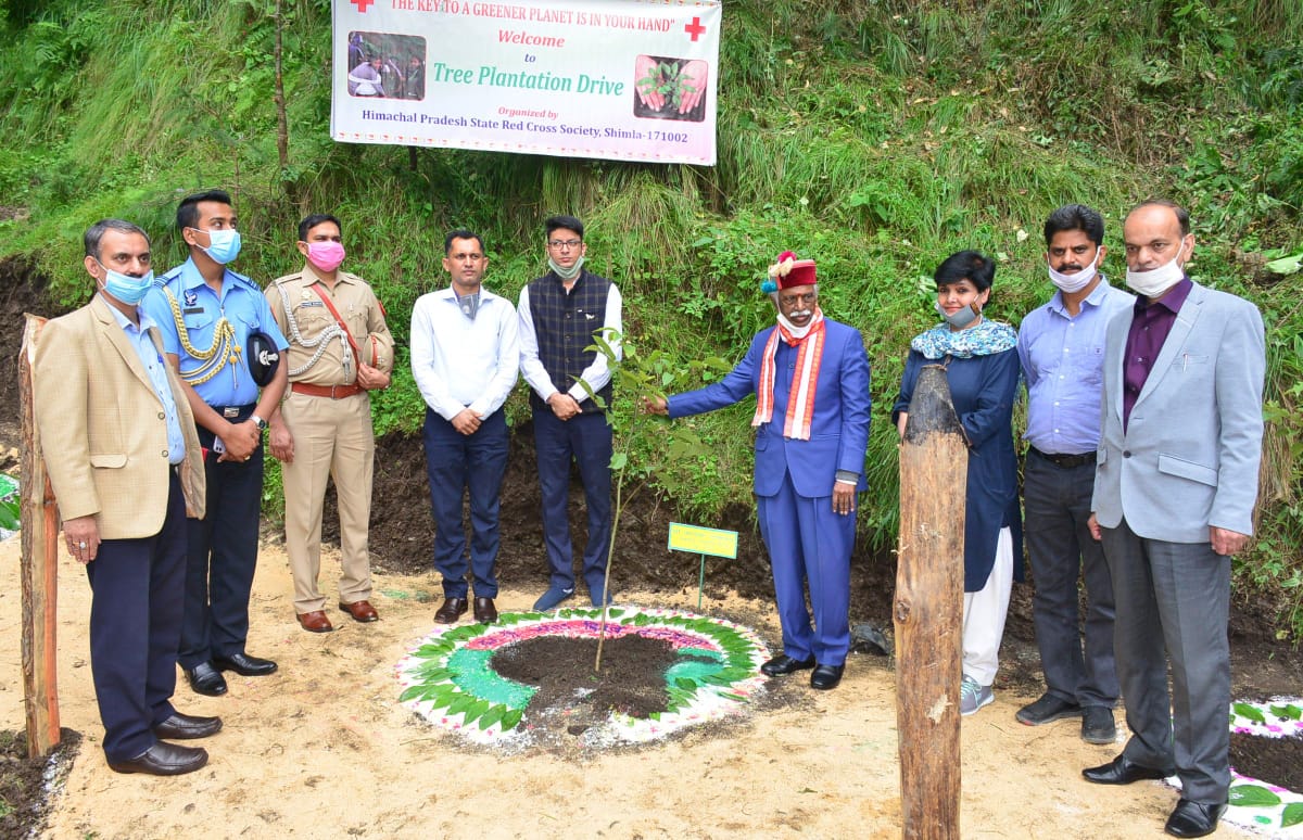 राज्यपाल ने मशोबरा में पौधरोपण अभियान का शुभारम्भ किया