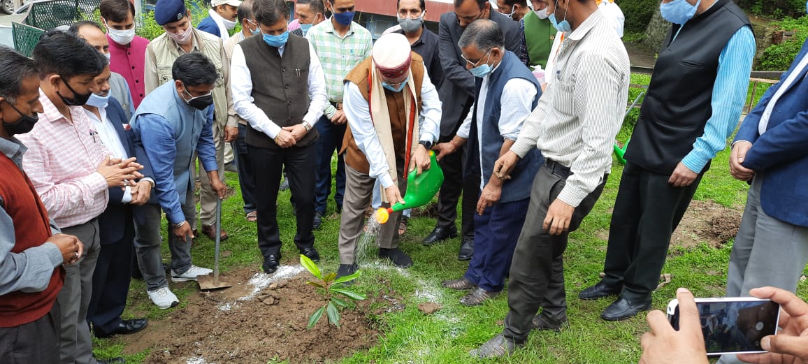 जंगलों के खाली स्थानों में  पौधरोपण कर ही वातावरण का शुद्धिकरण सम्भव- सहकारिता मंत्री सुरेश भारद्वाज