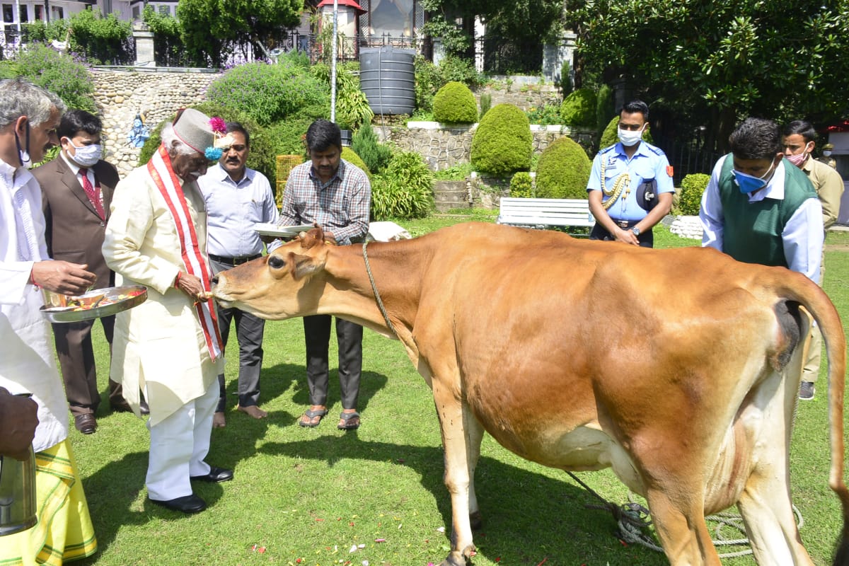 राज्यपाल ने एक वर्ष का कार्यकाल पूरा होने पर किया पौधरोपण